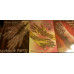 Order over £25 worth of goods and get a free book!