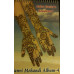 Order over £25 worth of goods and get a free book!